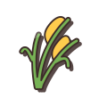 ear-of-rice